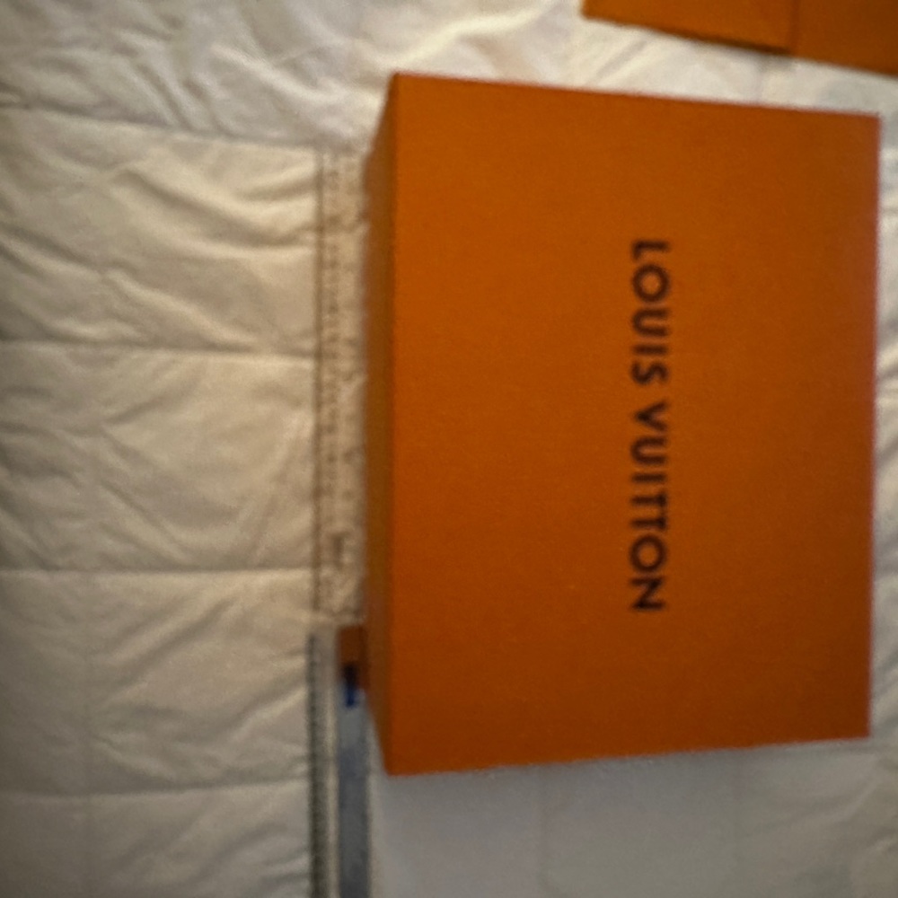 Louis Vuitton large back with 2 shoe bags